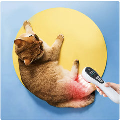 Semiconductor Laser Therapy Device